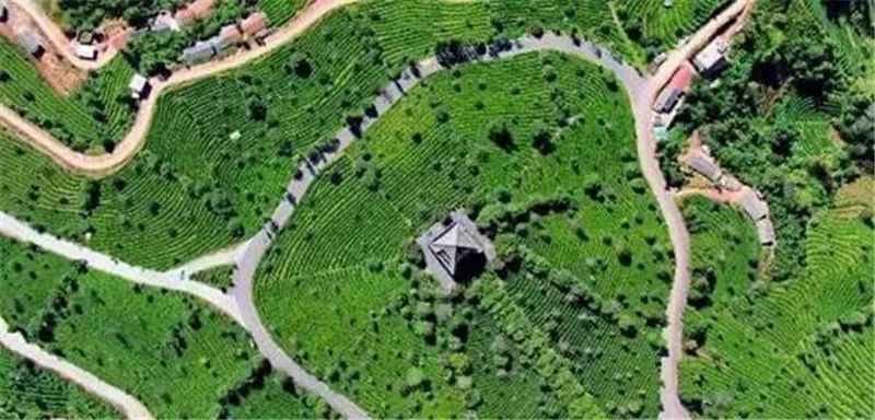 云南省文化和旅游厅