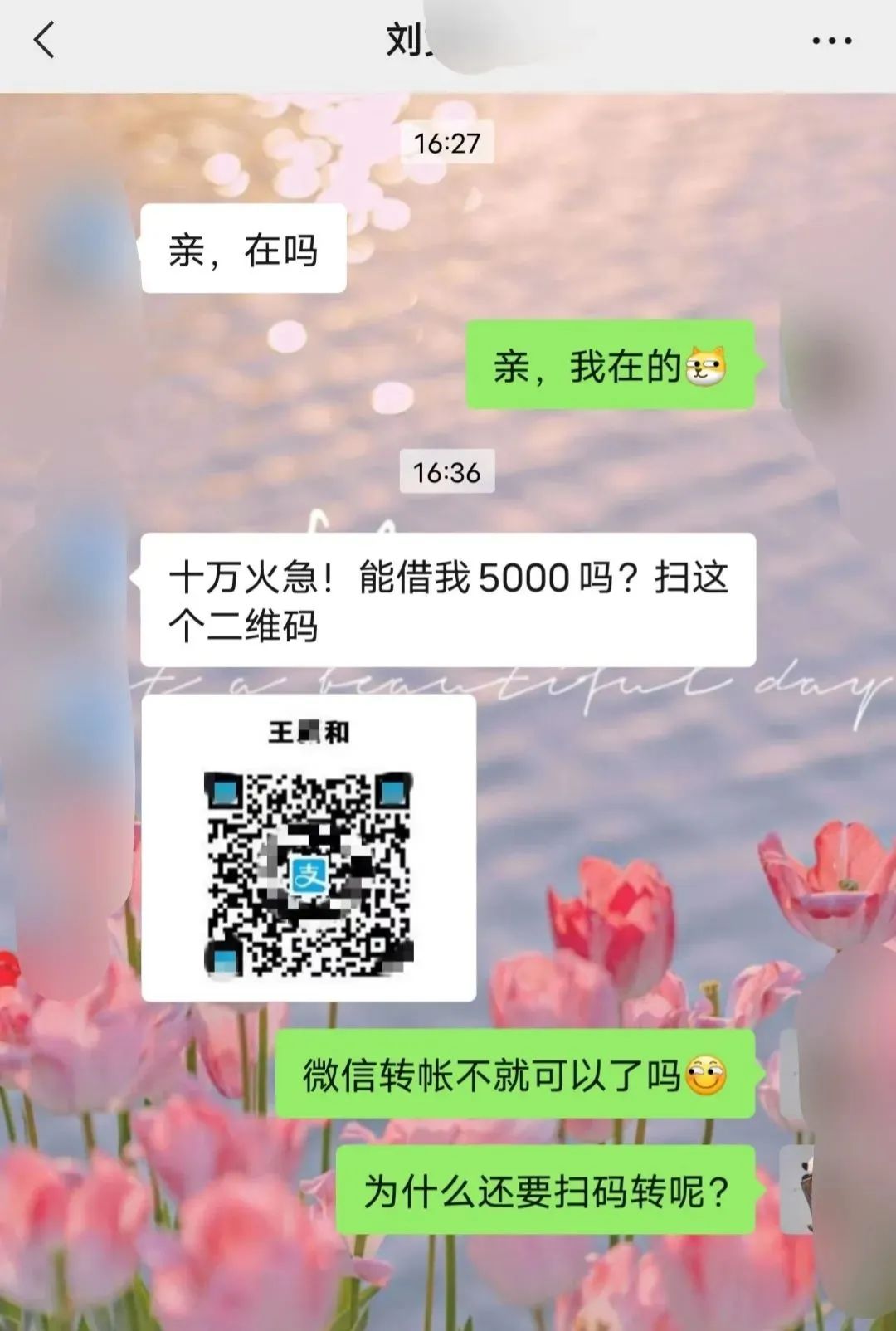 掌上春城微信公众号