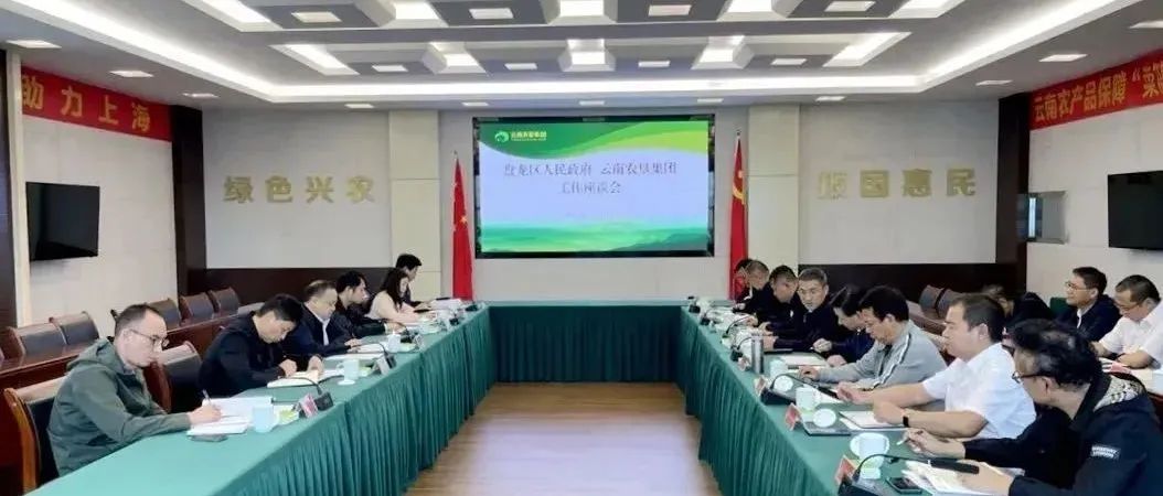 微观盘龙