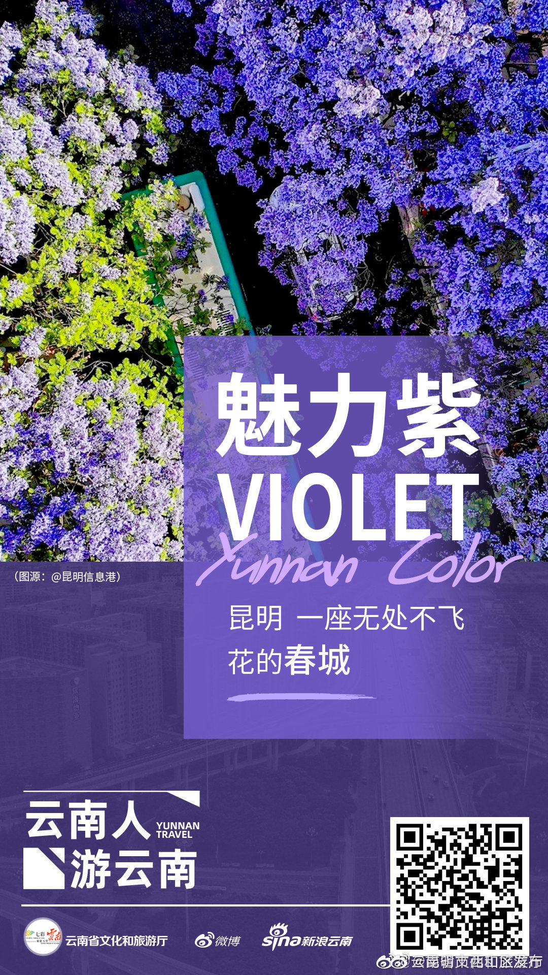 昆明市西山区发布