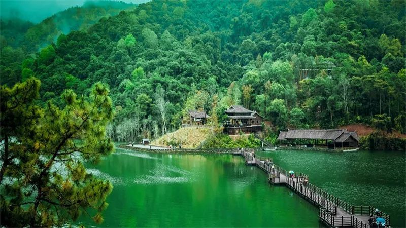 云南省文化和旅游厅