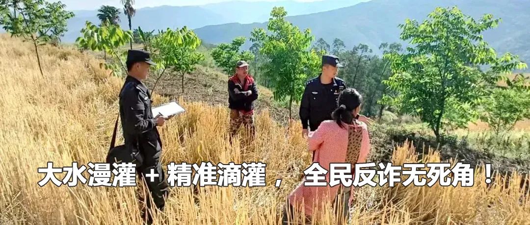 云南政法
