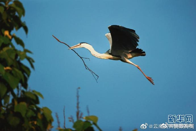 呈贡发布