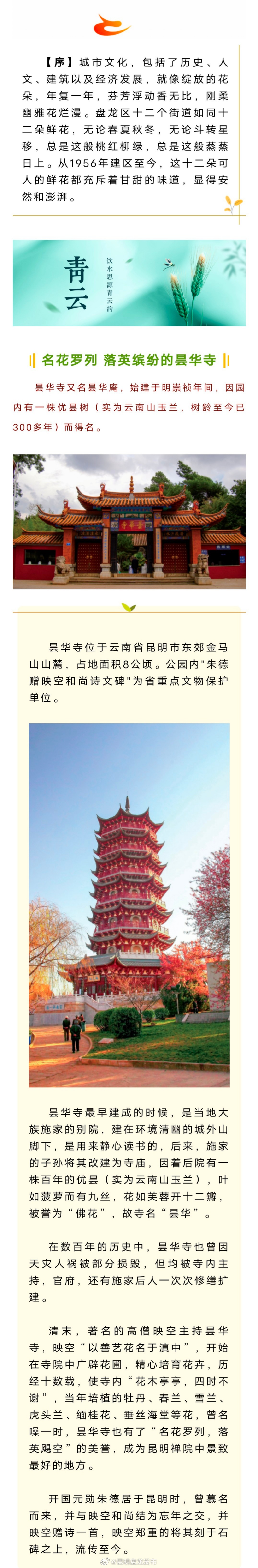 芳华正茂 盘龙如歌 | 名花罗列 落英缤纷的昙华寺