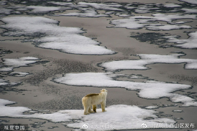 昆明市西山区发布
