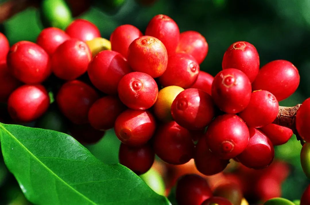 保山广播电视台