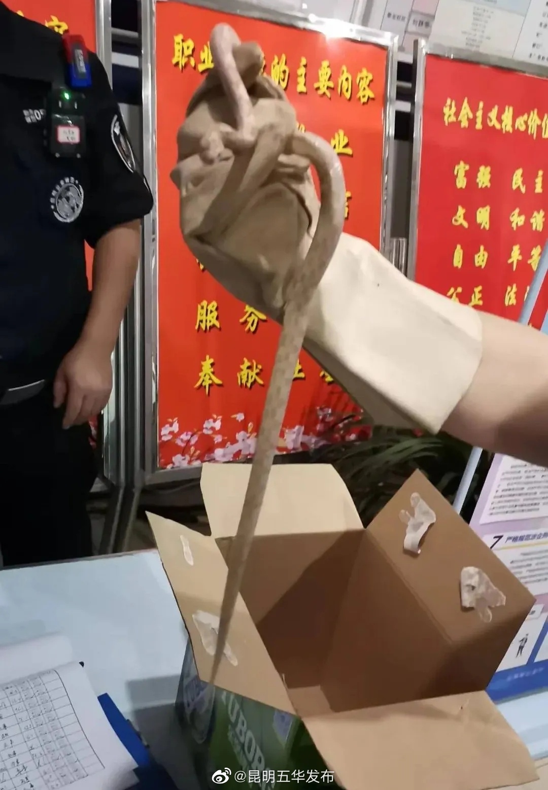 “昆明五华发布”微博