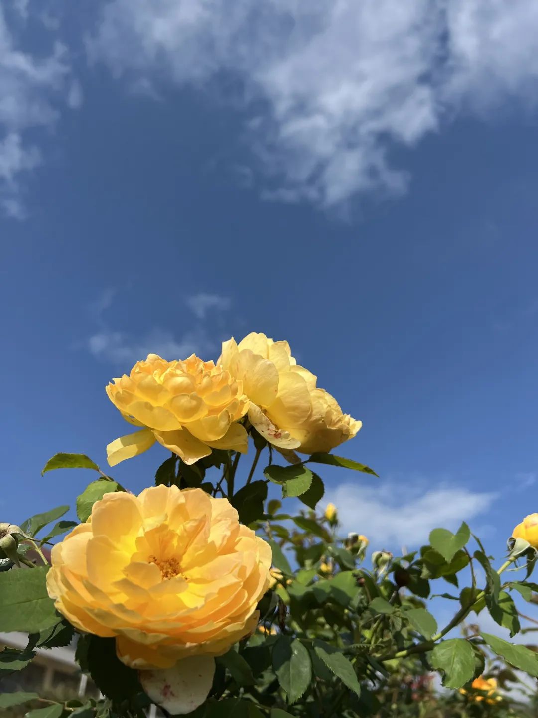 昆明阳宗海风景名胜区(微信)