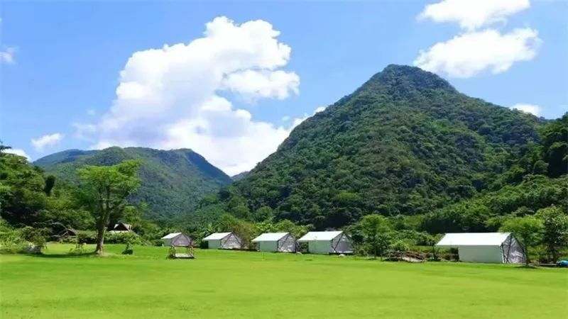 云南省文化和旅游厅