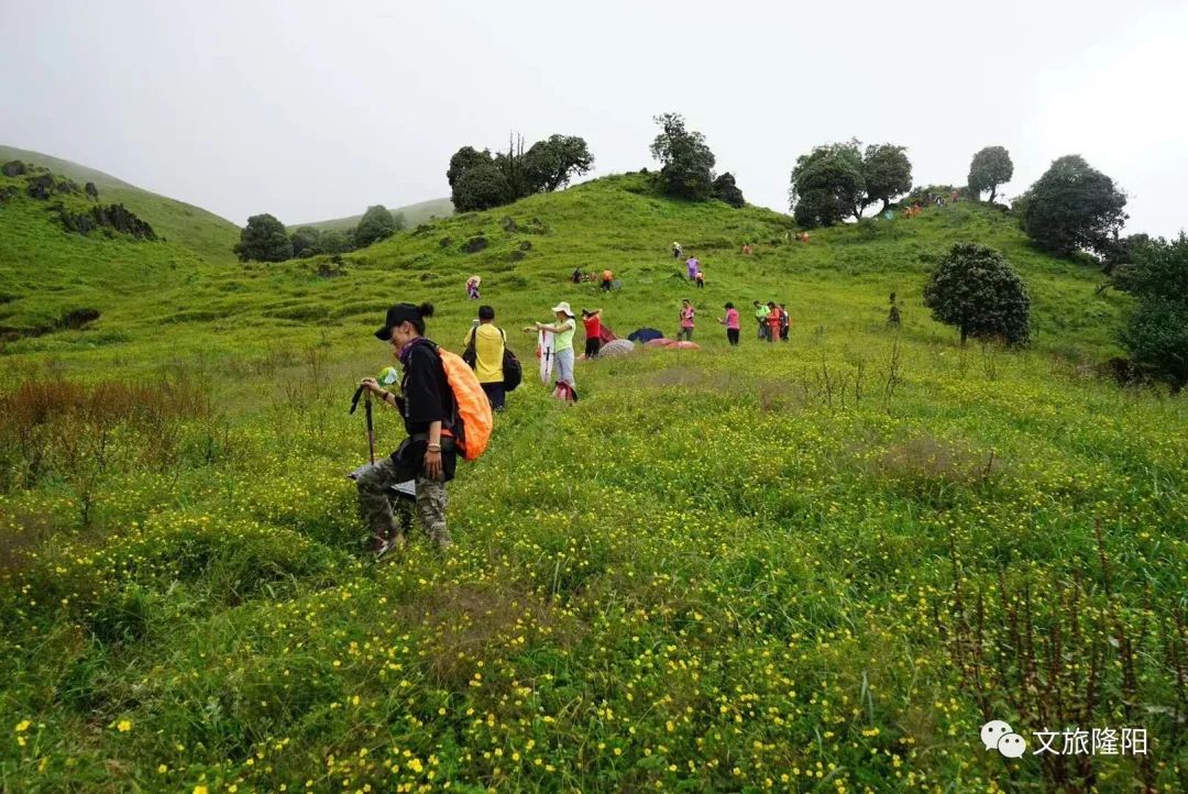 保山广播电视台