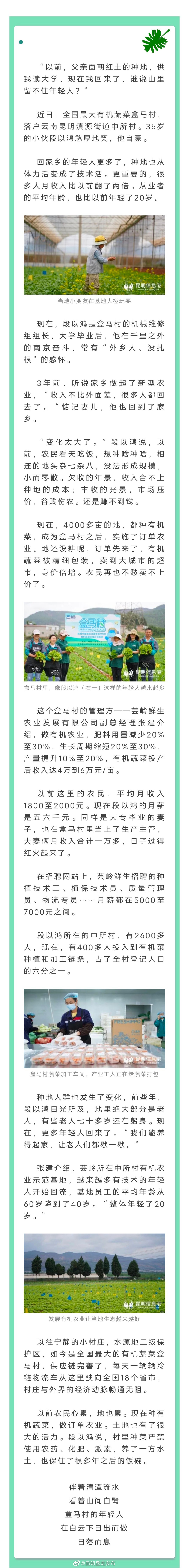 盒马村的年轻人：农民“变”技术工 月薪翻2倍