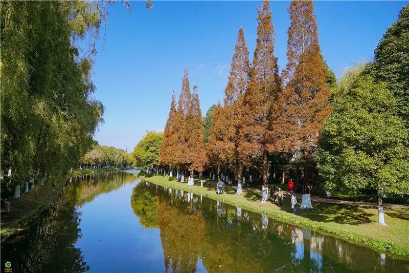 文旅云南