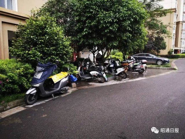 昭通日报