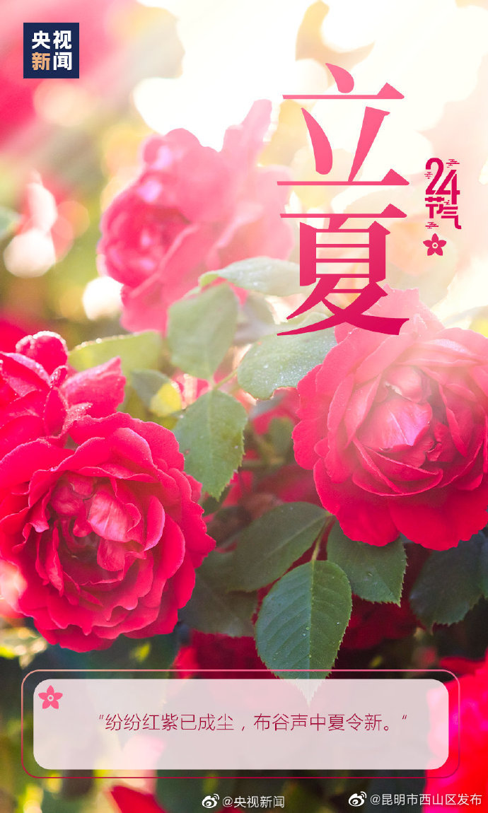 昆明市西山区发布