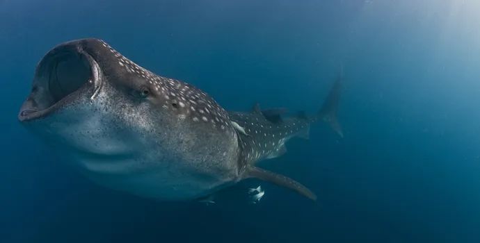 昆明市西山区图书馆