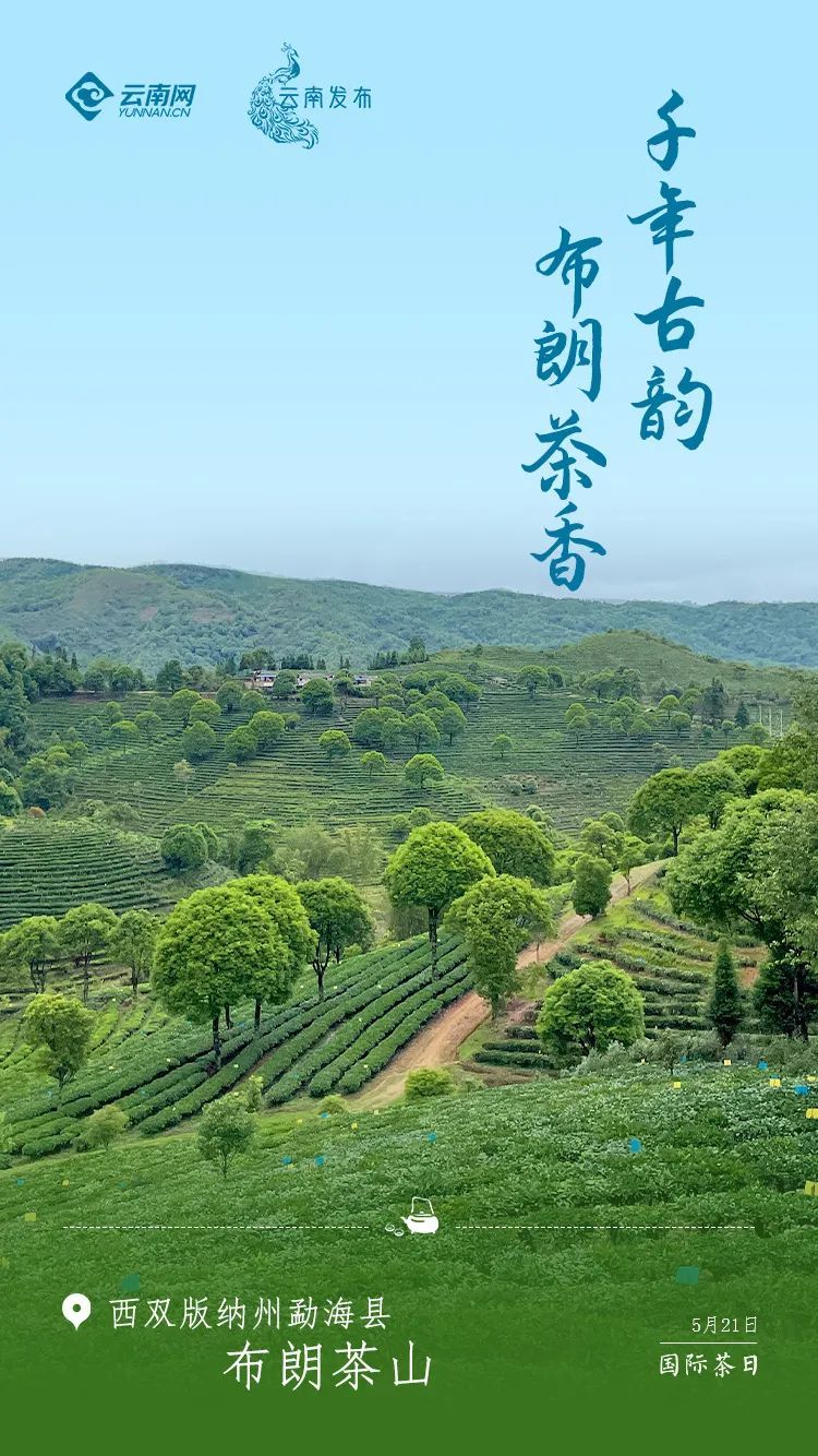 云南省文化和旅游厅