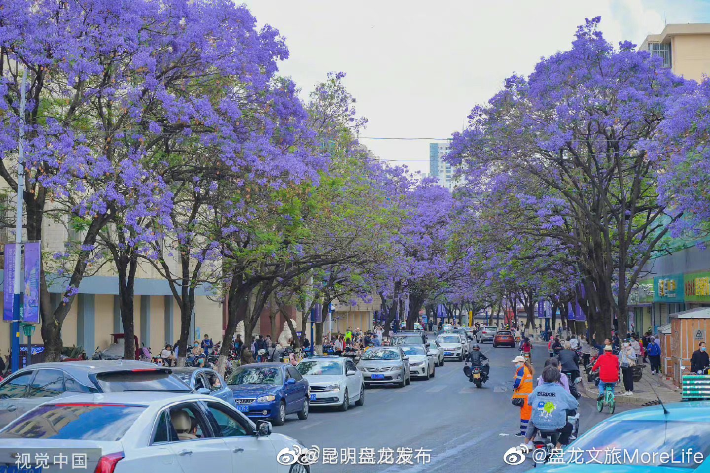 昆明盘龙发布