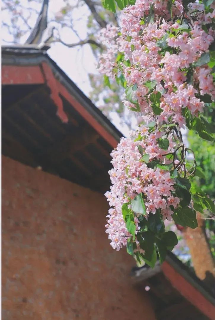 云南省文化和旅游厅