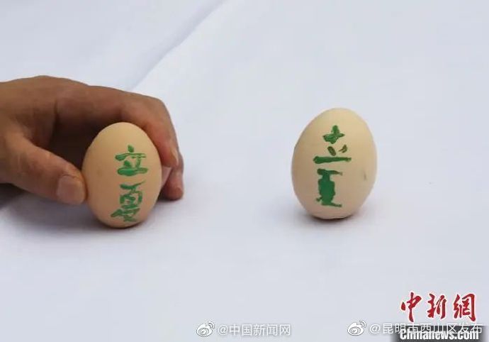 昆明市西山区发布