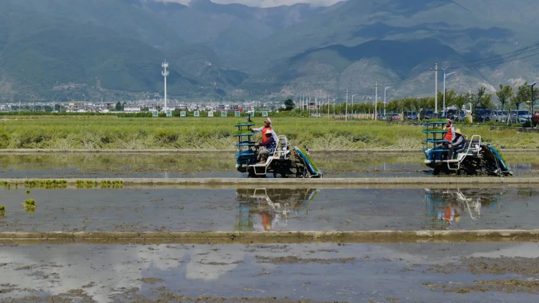 大理电视台