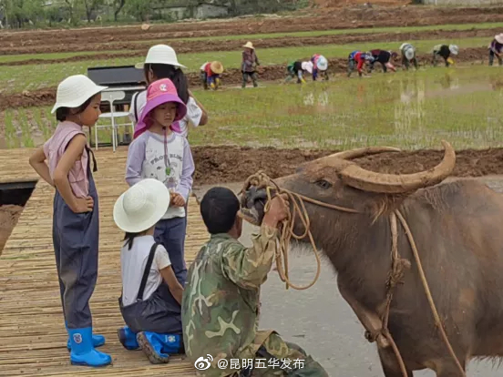 “昆明五华发布”微博