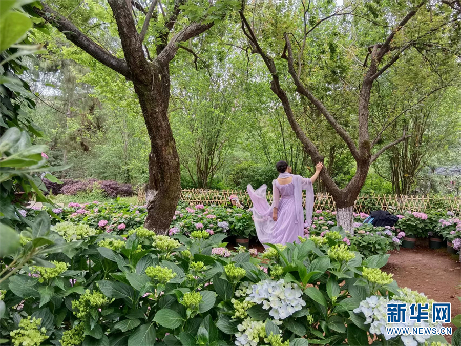 新华网云南频道