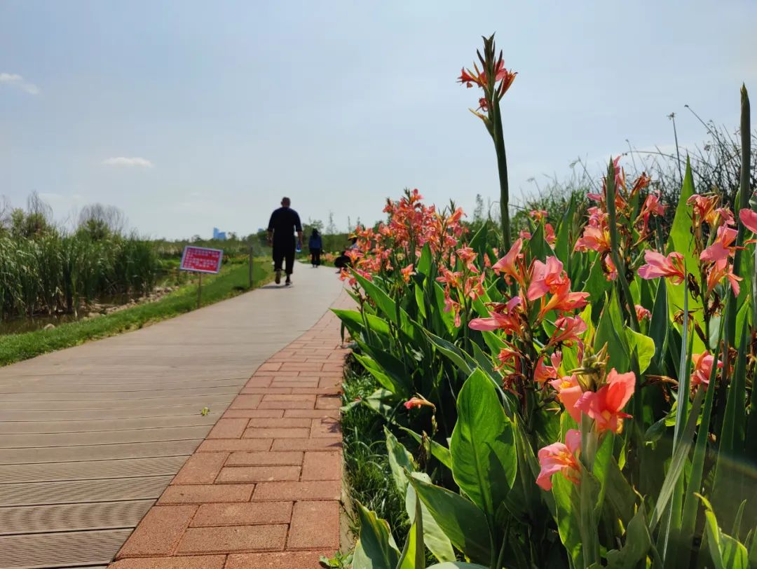 昆明信息港/cnkmxxg