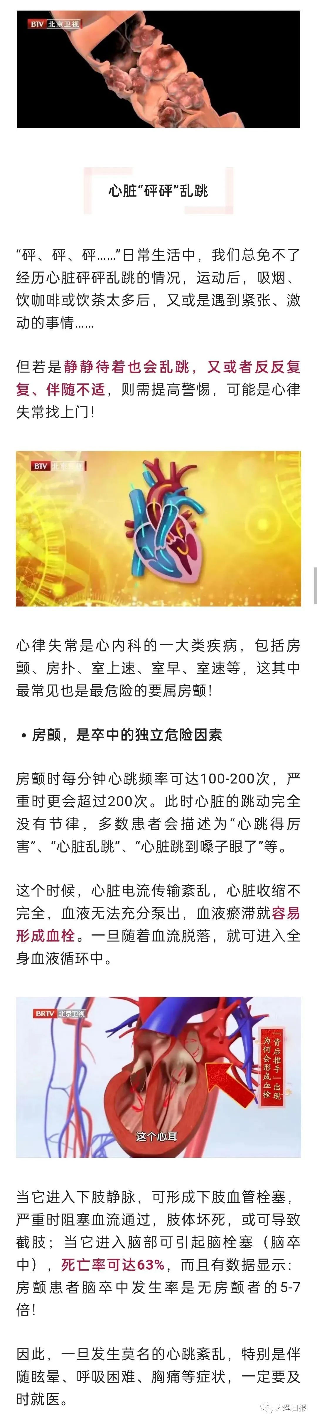 大理日报