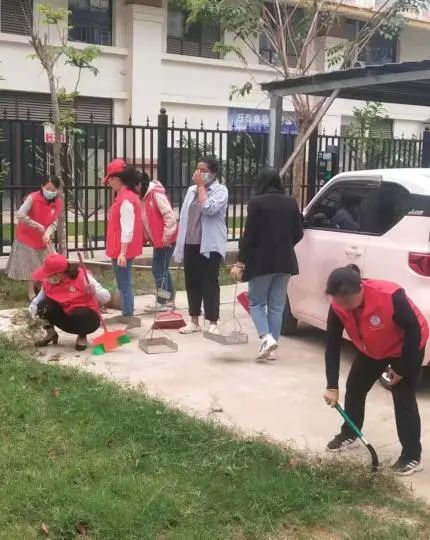 西双版纳先锋