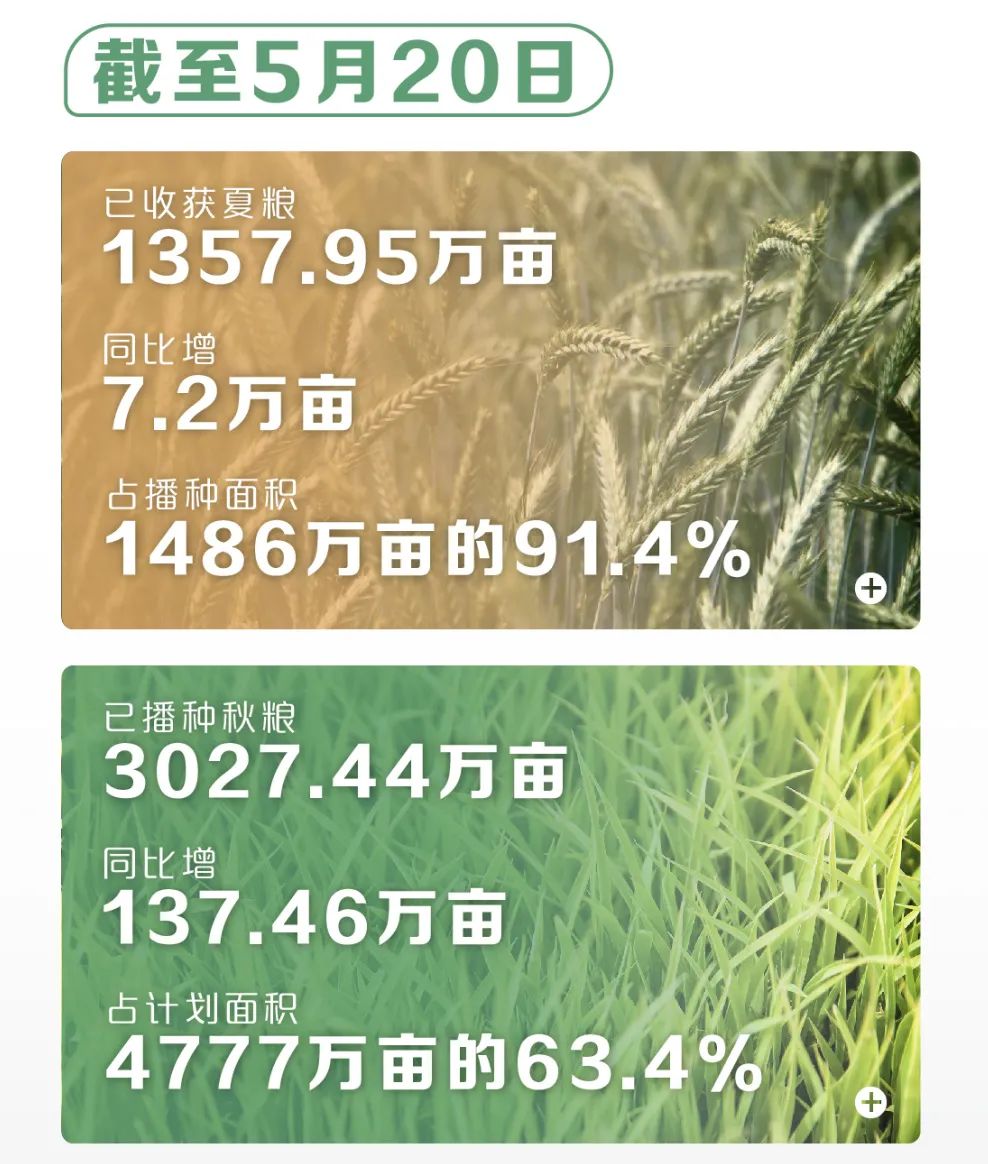 云南省人民政府网