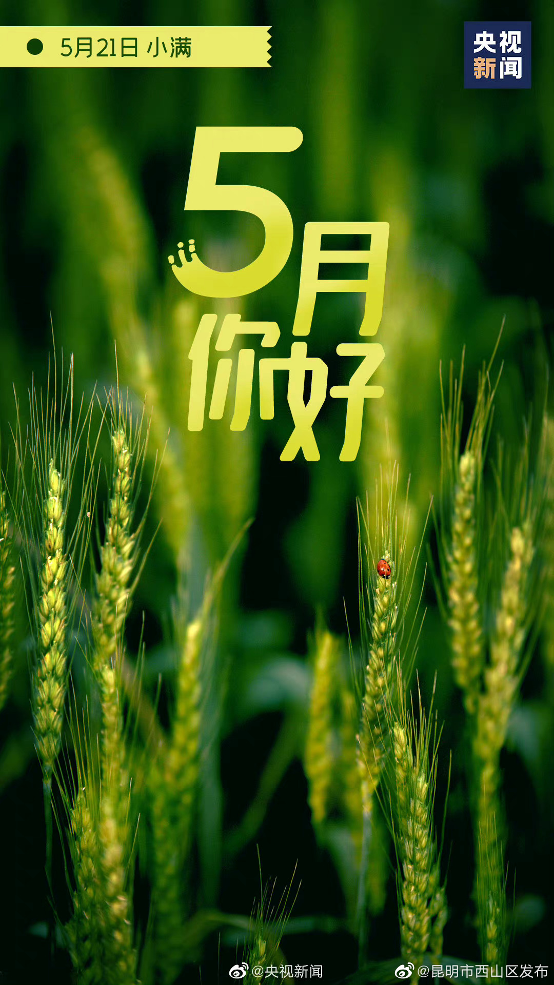 昆明市西山区发布