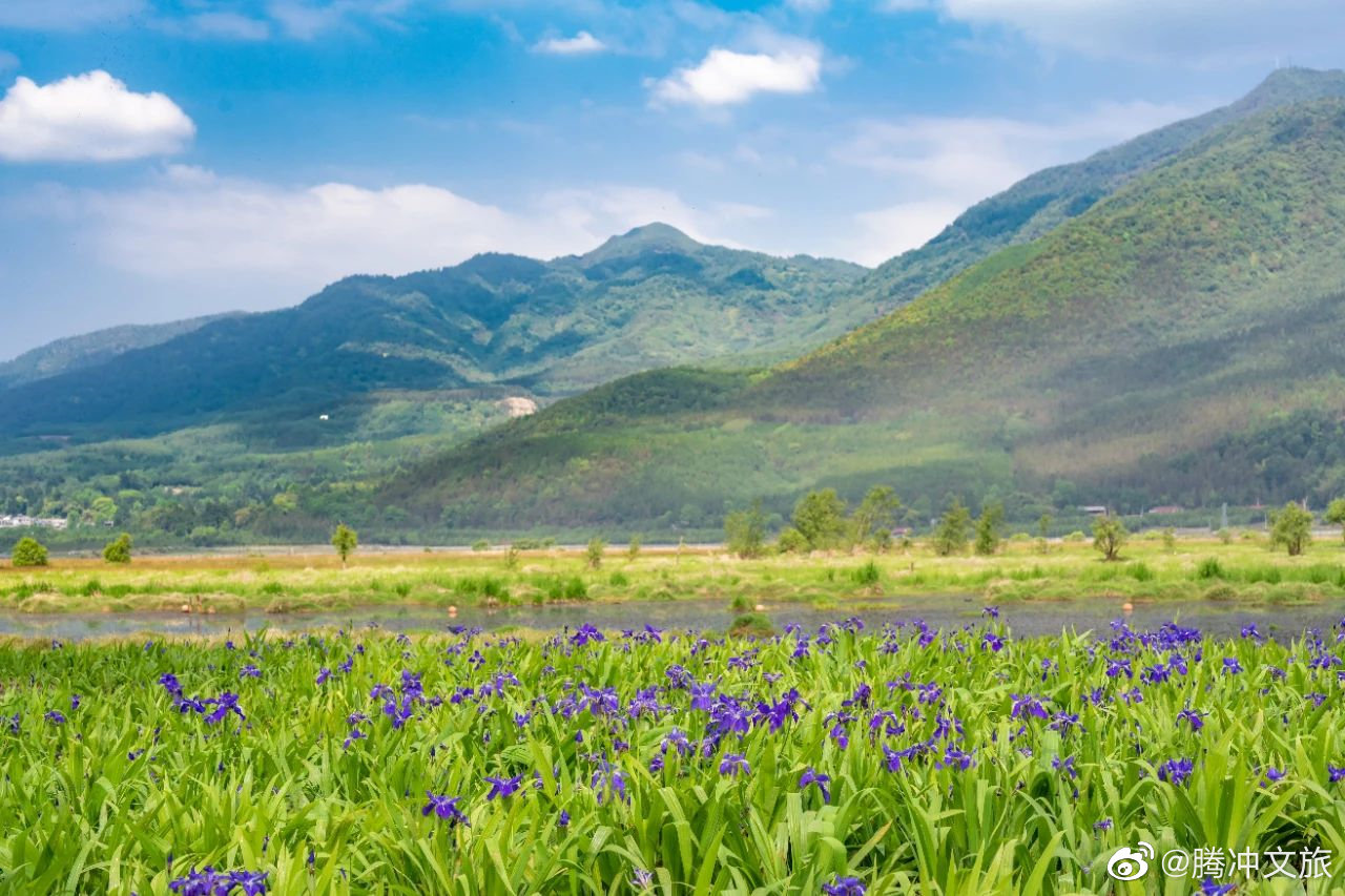 腾冲文旅微博
