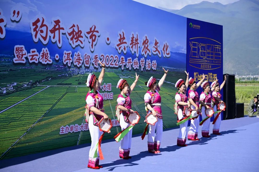 大理电视台