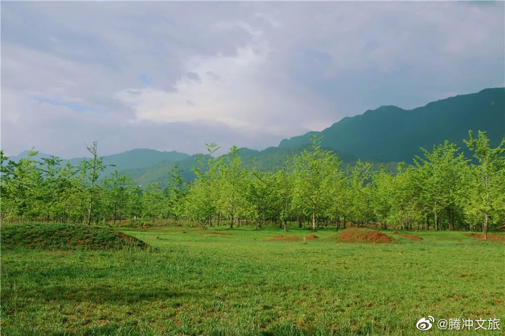 腾冲文旅微博
