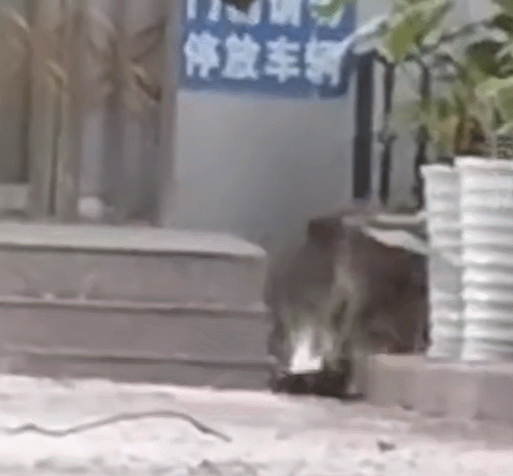 掌上春城微信公众号