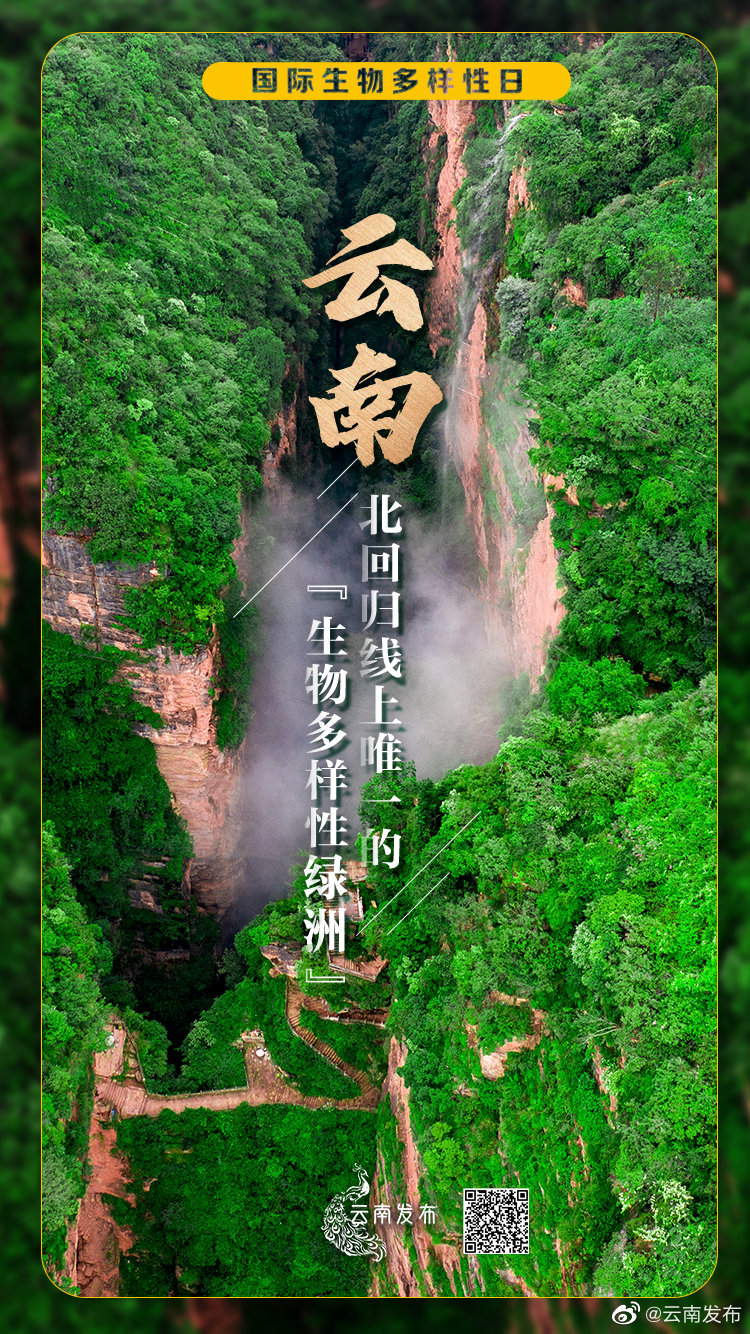 “云南发布”微博