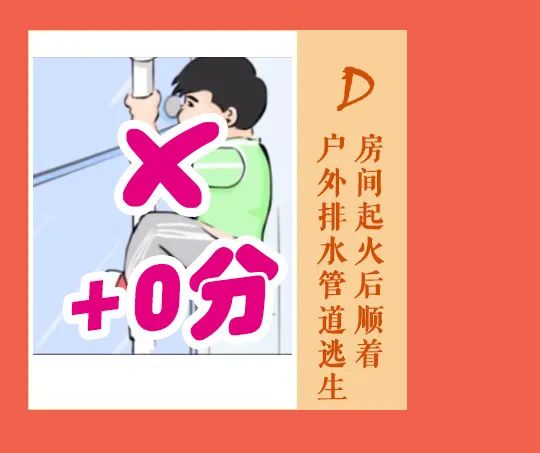 大理日报