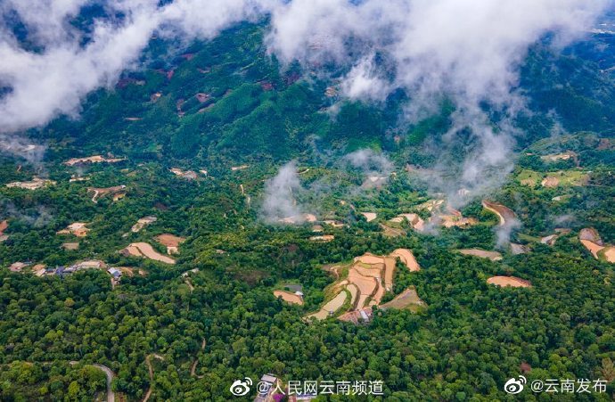 “云南发布”微博