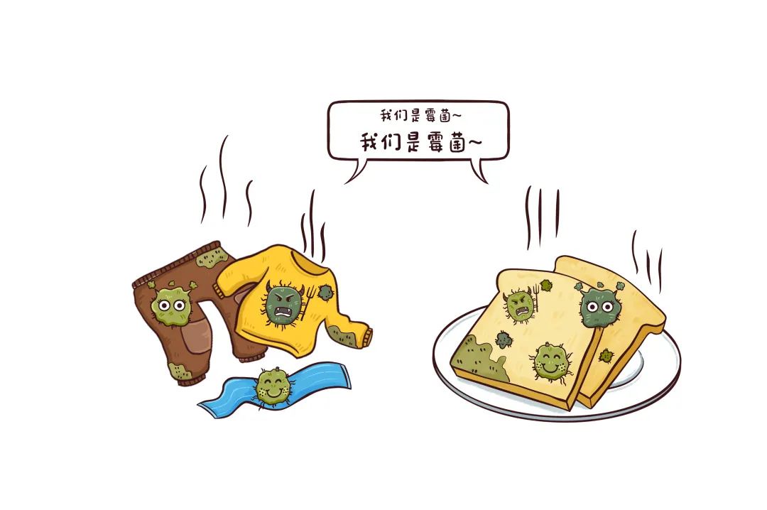 昆明市图书馆