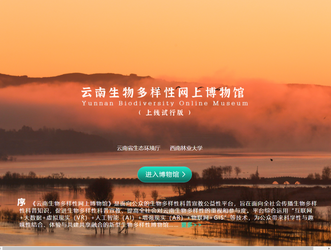 云南法制报