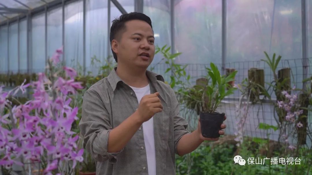 保山广播电视台