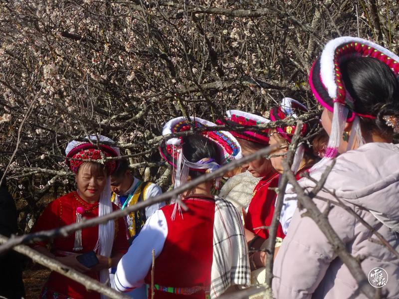 云南省文化和旅游厅