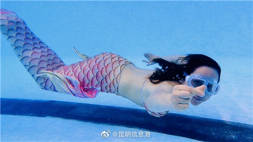昆明信息港