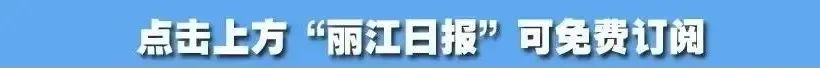 丽江日报