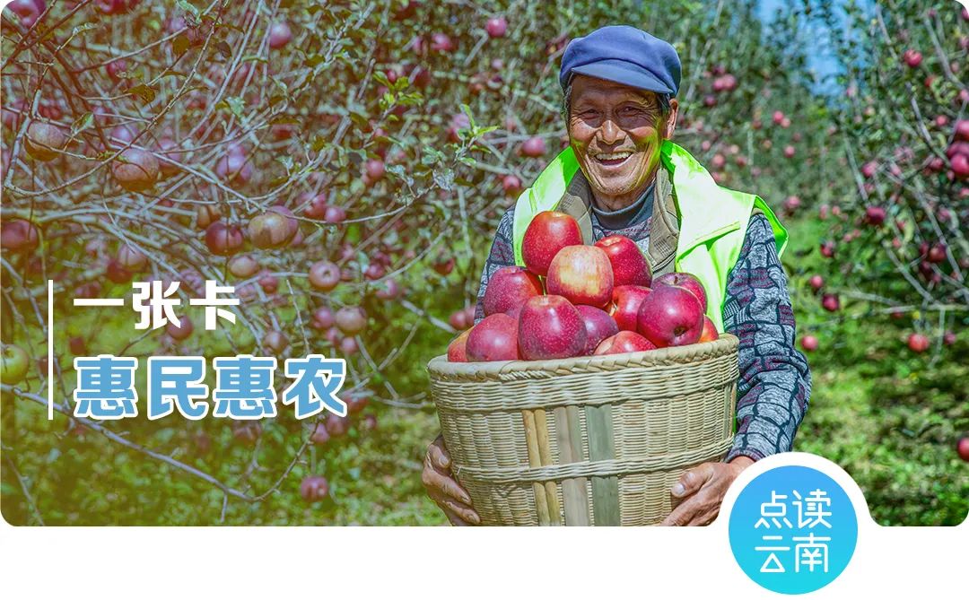 云南省人民政府网