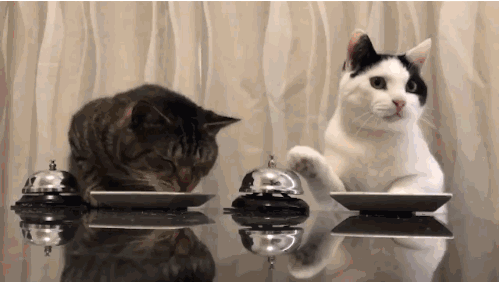 6种食物堪称便秘终结者