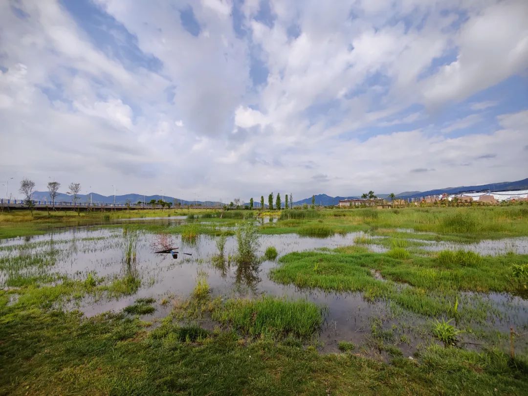 昆明信息港/cnkmxxg