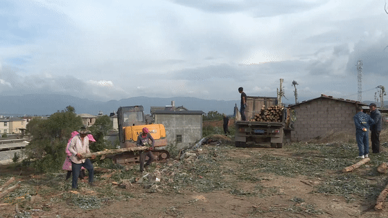 大理电视台