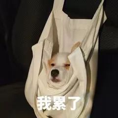 云南法制报