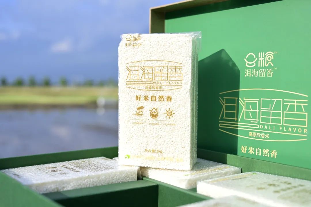 大理电视台
